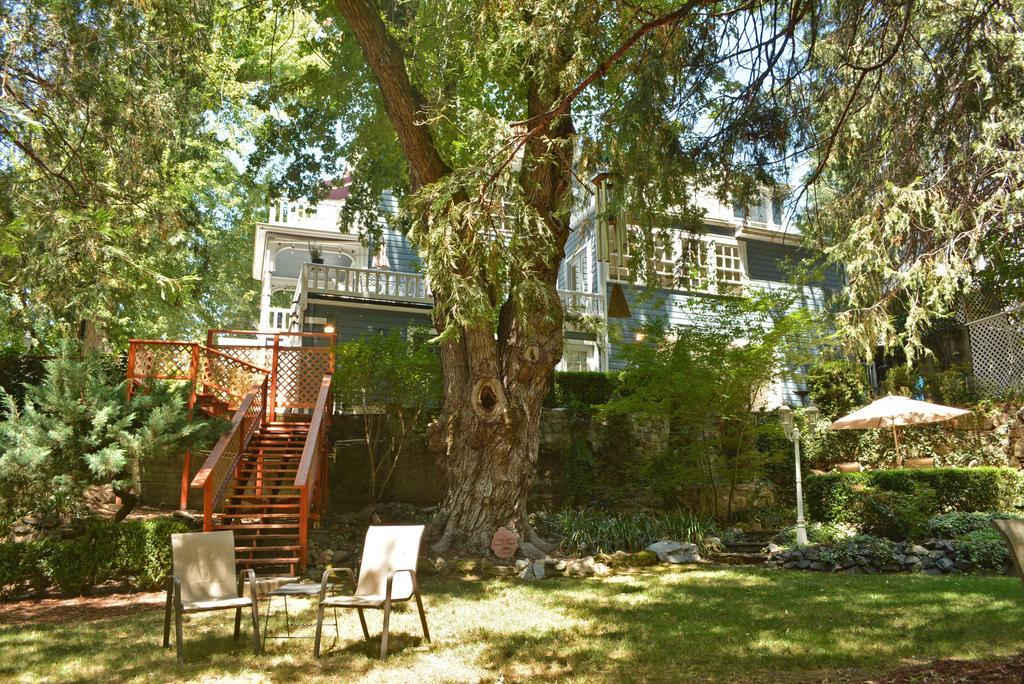 Deer Creek Inn Nevada City Eksteriør billede